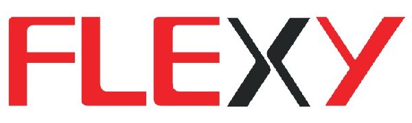 FLEXY Logo